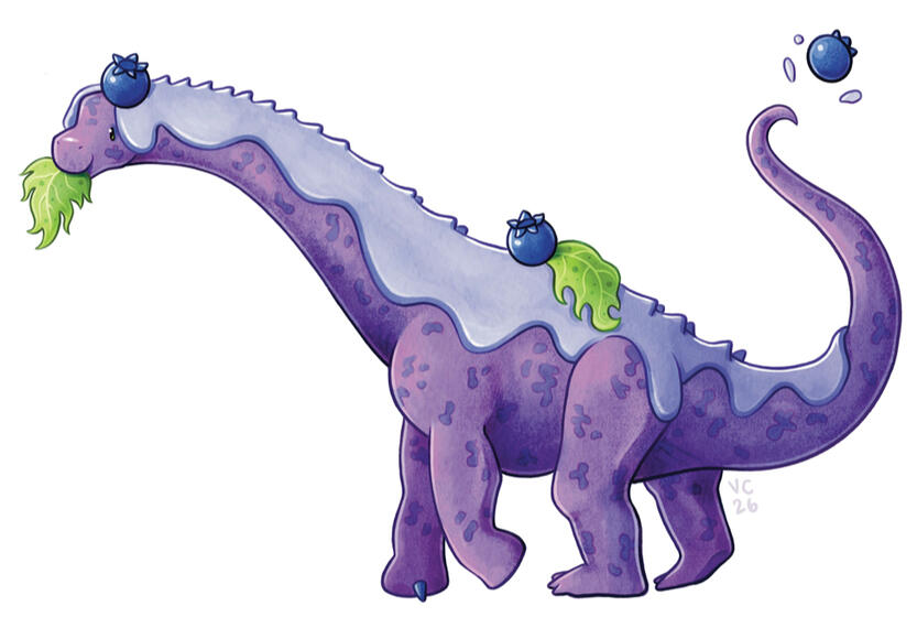 An illustration of a purple Alamosaurus (sauropod) munching on a green leaf and balancing a blueberry on top of his head. He is covered in a pale purple frosting, with another berry and leaf on his back, and a third berry bouncing off of his tail.